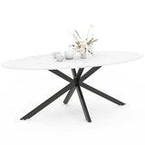 IDMarket - Table à Manger Ovale Alix 10 Personnes Pied araignée Noir et Plateau Effet marbre Blanc Alaska 200 cm