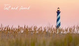 Beach Life: Home, Heart and The Sea