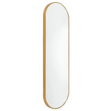 AltoBuy Miroir Doré Ovale 30x100 cm