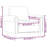 vidaXL Fauteuil, Siège avec Accoudoirs et Dossier Rembourrés, Canapé avec Coussin, Meuble de Salle de Séjour, Moderne, Gris Clair Velours
