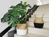 Panier Jonc De Mer Rangement Panier Plante Seagrass de Fleur Corbeille en Paille (Naturel + Blanc)