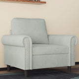 vidaXL Fauteuil, Siège avec Accoudoirs et Dossier Rembourrés, Canapé avec Coussin, Meuble de Salle de Séjour, Moderne, Gris Clair Velours