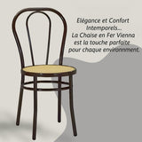 Tomaino - Chaise de cuisine en fer avec assise en paille - Ensemble de chaises de salle à manger Vienne (4, noir)