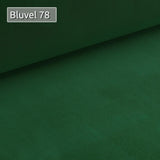 SILAPE - Canapé Asti 2 - Chesterfield canapé 2 Places - Glamour - Salon (Vert (Velvet 78))