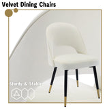 chairus Chaises de Salle à Manger sans Accoudoirs Lot de 2 Chaise de Bureau en Velours Moderne Chaise Rembourrée pour Cuisine Salon (Beige-2)
