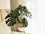 Panier Jonc De Mer Rangement Panier Plante Seagrass de Fleur Corbeille en Paille (Naturel + Blanc)