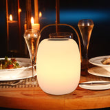 ZWOOS Lampe de Table Sans Fil Rechargeable, Portable LED RVB, pour Exterieur et Interieur avec Mode Scintillement de Bougie, Étanche IP54, avec Télécommande (Lampe musicale)