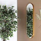 AltoBuy Miroir Doré Ovale 30x100 cm