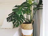 Panier Jonc De Mer Rangement Panier Plante Seagrass de Fleur Corbeille en Paille (Naturel + Blanc)