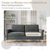 Vesgantti Canapé 2 Places en Tissu Velours Gris, 165cm Style Moderne Scandinave pour Salon, Appartement, Petit Espace, Pieds Bois Massif, 168x88x75