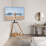 Support TV Universel avec Trépied RFIVER - Trépied Easel - Écrans mesurant Entre 32 et 65 Pouces - Téléviseurs LCD/LED/OLED/QLED - Pivotement et Hauteur réglable - VESA 400x400 - Brun