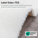 CEYIRO Tapis Salon Tapis Chambre 160x230CM, Dessous Antidérapant, Doux Moelleux (Blanc, 160x230cm)
