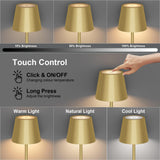 Coinmit Lampadaire LED Dimmable avec piles, Lampadaire sans fil rechargeable avec commande tactile pour l'éclairage intérieur et extérieur, salon, balcon, Or