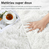 CEYIRO Tapis Salon Tapis Chambre 160x230CM, Dessous Antidérapant, Doux Moelleux (Blanc, 160x230cm)