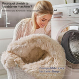 Homaxy Tapis Moelleux à Poils Longs - Dessous antidérapant - Lavable - pour Le Salon, la Chambre d'enfant, la Chambre à Coucher - 160 x 220 cm, Beige
