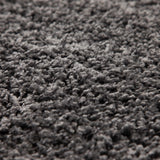 Tapis à Poils Longs, Unicolor - Monochrome, Tapis Gris, 300 x 400 cm, Tapis de Style Moderne, Tapis Salon