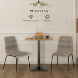 HOMCOM Lot de 2 chaises de Salle à Manger élégantes Chaise de Cuisine Chaise rotin piètement Acier, pour Salle à Manger, Salon, Cuisine