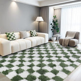 Cekene Grands Tapis Salon Vert 200x300cm Tapis Ultra Doux Lavables pour Chambre Shaggy Moelleux Antidérapants Tapis de Sol pour Salon Enfants Salle de Jeux Dortoir