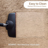 BEIMO Tapis de Salon Shaggy Tapis Chambre Moderne à Poils Longs et Moelleux, Grand Doux Tapis de Sol Pelucheux Dessous Antidérapant, Beige Sable, 160x230cm