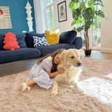 Homaxy Tapis Moelleux à Poils Longs - Dessous antidérapant - Lavable - pour Le Salon, la Chambre d'enfant, la Chambre à Coucher - 160 x 220 cm, Beige
