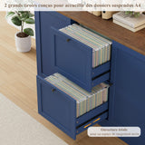 FirFurd Bibliotheque Meuble de Rangement avec Prise/USB, 2 Portes 2 Tiroirs pour Dossiers Suspendus, Armoire Bureau Bibliothèque Livre pour Salon Cuisine 116x40x182cm Bleu