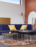 Symbiosis Ply Table Basse, Noyer et Métal Noir, 80x80x35 cm