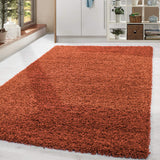 Home by Home Tapis doux et épais style shaggy moderne Uni Plusieurs formes et tailles disponibles, 100 % polypropylène, Terre, 240x340 cm
