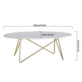 FirFurd Table Basse de Salon Effet Marbré Ovale Table de Canapé Table a Café Bas en Bois et Métal Piédestal Table d'Appoint Nordique Scandinave 120x60x41cm