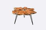 Table basse design Brillibrum en teck massif Table pliante sur un châssis en métal Table de salon en bois de teck unique