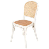 BISCOTTINI INTERNATIONAL ART TRADING Biscottini Thonet 88 x 45 x 45 cm Cuisine | Chaises en Bois Blanches, frêne, Blanc, 88x45x45 cm