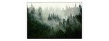 Muralo Papier Peint Forêt dans Le Brouillard 240 x 360 Vinyle Scène Brume Nature - 167720496