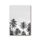 QIAOB Art Mural, Impression d'affiches sur Toile d'art de Feuille de Palmier Tropical, Photographie d'arbre de Palmier Tropical Peinture Photo Noir et Blanc décor à la Maison 30x40cmx3 Pas de Cadre