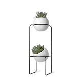 UMBRA Nesta freestand. Porte Plante Nesta. En céramique et métal. Coloris noir et blanc moucheté gris. Dimension 21.8x21.8x70cm