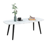 MEUBLE COSY Table Basse Salon en Marbre Ovale Meuble de Rangement Design Bout de canapé Moderne Armature en métal, 110x50x40cm