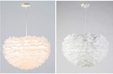 1yess Plume de la Lampe Nordique Chambre Natural Ended Moderne Simple Salle à Manger Chambre créative Plume de la Lampe (Couleur : Blanc, Taille : 60 x 60 cm) (Couleur : Blanc)
