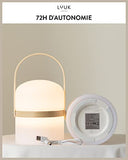 LUUK LIFESTYLE Lampe de table LED design rechargeable sans fil avec poignée, lampe de jardin portable, luminosité réglable trois positions, étanche IP44, autonomie jusqu'à 72 heures, anse bois