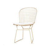QIAOJUNJUN Nordic créatif ajouré Chaise en Fil de Fer barbelé Personnalité Simple Fer forgé Restaurant Restaurant Chaise de Bureau Ordinateur doré Coussin Chaise