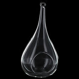 Vase Suspendu en Verre Transparent Conique pour Plantes Fleurs Décoration de Jardin Maison