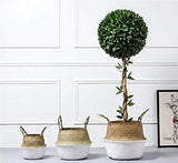 Panier Jonc De Mer Rangement Panier Plante Seagrass de Fleur Corbeille en Paille (22 x 20 cm, Naturel + Blanc)