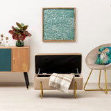 Baroni Home Home Coffre Pliant, Banc de Rangement, Pouf Repose-Pieds Velours Couleur Mesures 80X40X40 cm, Taupe