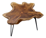 Table basse design Brillibrum en teck massif Table pliante sur un châssis en métal Table de salon en bois de teck unique