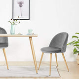 OFCASA Lot de 2 Chaises de Salle à Manger de Velours Chaise de Cuisine rembourrée en Tissu Chaise avec Jambes en Métal Chaise Lot de 2 chaises gris