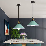 iDEGU Lustre Rétro Suspension Luminaire Vintage 22CM Métal Plafonnier Abat-jour Industriel E27 Lampe de Plafond pour Salon Cuisine Chambre Restaurant (Vert - 1 Lampe)
