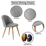 OFCASA Lot de 2 Chaises de Salle à Manger de Velours Chaise de Cuisine rembourrée en Tissu Chaise avec Jambes en Métal Chaise Lot de 2 chaises Gris