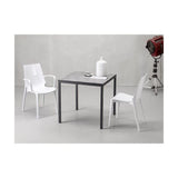 Baakal & ross Vanity - Chaise Translucide Scab Design avec accoudoirs