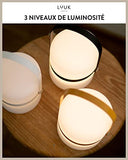 LUUK LIFESTYLE Lampe LED portable design scandinave, lanterne sans fil, lampe de table, luminosité réglable, USB, terrasse, intérieur et extérieur jardin, étanche IP 44, rechargeable, anse curry