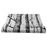 Wanjorlay Papier Peint Arbre de Bouleau Blanc Noir pour Chambre à Coucher Design Moderne Papier Peint Rouleau Papier Peint Bois ForêT Rustique