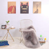 QIAOJUNJUN Nordic créatif ajouré Chaise en Fil de Fer barbelé Personnalité Simple Fer forgé Restaurant Restaurant Chaise de Bureau Ordinateur doré Coussin Chaise
