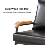 CLIPOP Fauteuil rétro Moderne avec Cadre en métal et Coussin en Cuir synthétique pour Salon, Chambre à Coucher, Salon (Noir)