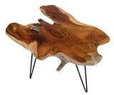 Table basse design Brillibrum en teck massif Table pliante sur un châssis en métal Table de salon en bois de teck unique